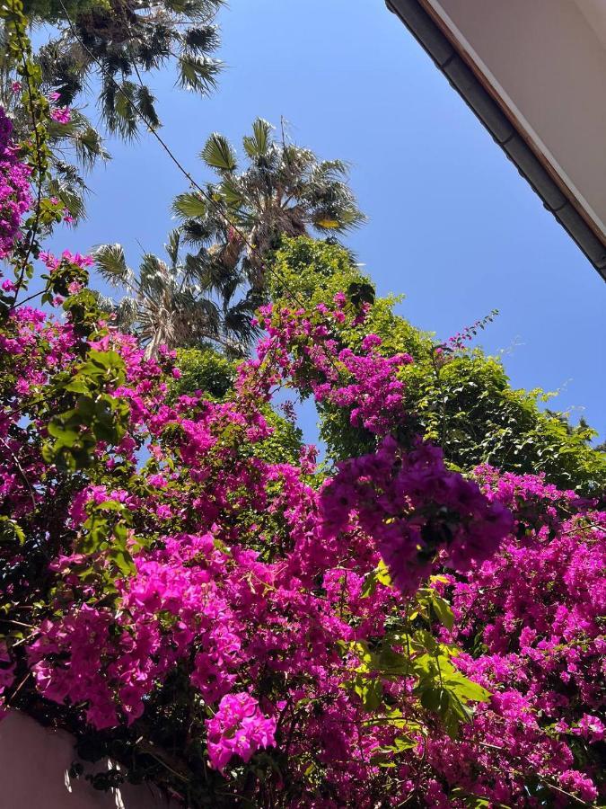 Çamyuva Palma Rosa Hotel المظهر الخارجي الصورة