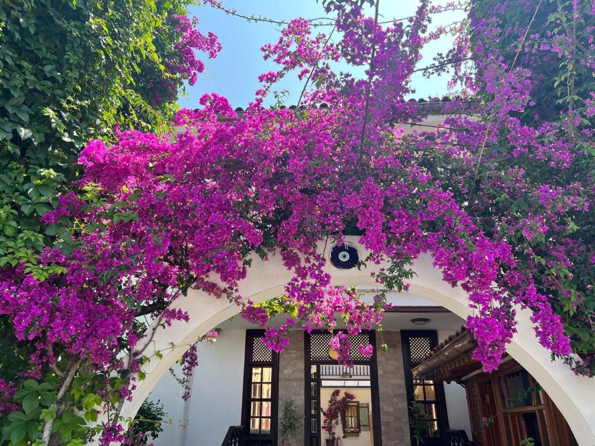 Çamyuva Palma Rosa Hotel المظهر الخارجي الصورة